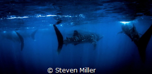 Spooky by Steven Miller 